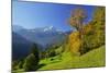Hintergraseck against Zugspitz Mountain Range, Garmisch-Partenkirchen, Bavaria, Germany-null-Mounted Art Print