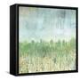 Hints Of Autumn-Ann Tygett Jones Studio-Framed Stretched Canvas