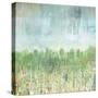 Hints Of Autumn-Ann Tygett Jones Studio-Stretched Canvas