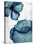Hints of Teal 1-Kimberly Allen-Stretched Canvas