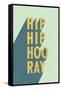 Hip Hip Hooray-Becky Thorns-Framed Stretched Canvas