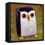 Hip Hopenguin II-Aaron Jasinski-Framed Stretched Canvas