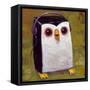 Hip Hopenguin II-Aaron Jasinski-Framed Stretched Canvas