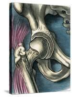 Hip Joint, Artwork-Bill Sanderson-Stretched Canvas