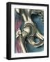 Hip Joint, Artwork-Bill Sanderson-Framed Photographic Print