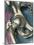 Hip Joint, Artwork-Bill Sanderson-Mounted Photographic Print