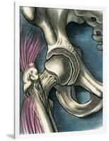 Hip Joint, Artwork-Bill Sanderson-Framed Photographic Print