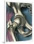 Hip Joint, Artwork-Bill Sanderson-Framed Photographic Print