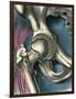 Hip Joint, Artwork-Bill Sanderson-Framed Photographic Print