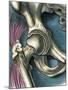 Hip Joint, Artwork-Bill Sanderson-Mounted Photographic Print