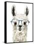 Hip Llama II-Victoria Borges-Framed Stretched Canvas