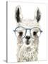 Hip Llama II-Victoria Borges-Stretched Canvas