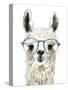 Hip Llama II-Victoria Borges-Stretched Canvas