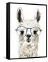 Hip Llama II-Victoria Borges-Framed Stretched Canvas