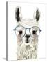 Hip Llama II-Victoria Borges-Stretched Canvas