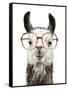 Hip Llama III-Victoria Borges-Framed Stretched Canvas