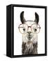 Hip Llama III-Victoria Borges-Framed Stretched Canvas