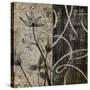 Hip Organic Silver-Liz Jardine-Stretched Canvas