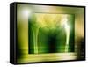 Hip Replacement, X-ray-Miriam Maslo-Framed Stretched Canvas