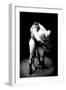 Hip Throw: Russian Wrestlers-null-Framed Art Print