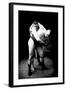 Hip Throw: Russian Wrestlers-null-Framed Art Print