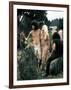 Hippie Couple Posed Together Arm in Arm with Others Around Them, During Woodstock Music/Art Fair-John Dominis-Framed Photographic Print