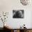Hippie Poet Allen Ginsberg Smoking-John Loengard-Mounted Premium Photographic Print displayed on a wall