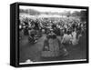 Hippies in Hyde Park-null-Framed Stretched Canvas