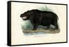 Hippo, 1863-79-Raimundo Petraroja-Framed Stretched Canvas