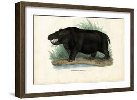 Hippo, 1863-79-Raimundo Petraroja-Framed Giclee Print