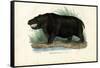 Hippo, 1863-79-Raimundo Petraroja-Framed Stretched Canvas