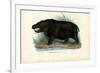 Hippo, 1863-79-Raimundo Petraroja-Framed Giclee Print