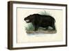 Hippo, 1863-79-Raimundo Petraroja-Framed Premium Giclee Print