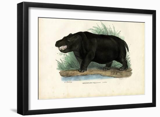 Hippo, 1863-79-Raimundo Petraroja-Framed Premium Giclee Print