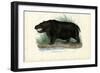 Hippo, 1863-79-Raimundo Petraroja-Framed Premium Giclee Print