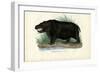 Hippo, 1863-79-Raimundo Petraroja-Framed Premium Giclee Print