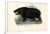 Hippo, 1863-79-Raimundo Petraroja-Framed Giclee Print