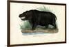 Hippo, 1863-79-Raimundo Petraroja-Framed Giclee Print