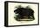 Hippo, 1863-79-Raimundo Petraroja-Framed Stretched Canvas