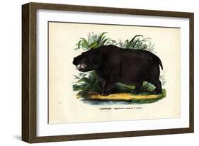 Hippo, 1863-79-Raimundo Petraroja-Framed Giclee Print