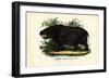 Hippo, 1863-79-Raimundo Petraroja-Framed Giclee Print