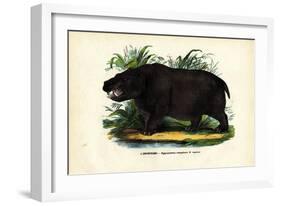 Hippo, 1863-79-Raimundo Petraroja-Framed Giclee Print