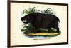 Hippo, 1863-79-Raimundo Petraroja-Framed Giclee Print