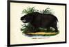 Hippo, 1863-79-Raimundo Petraroja-Framed Giclee Print