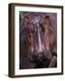 Hippo, Amboseli National Park, Kenya-Art Wolfe-Framed Photographic Print