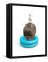 Hippo and Duck-J Hovenstine Studios-Framed Stretched Canvas