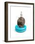 Hippo and Duck-J Hovenstine Studios-Framed Giclee Print