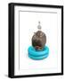 Hippo and Duck-J Hovenstine Studios-Framed Giclee Print