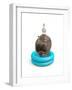 Hippo and Duck-J Hovenstine Studios-Framed Giclee Print