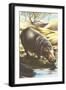 Hippo at Shore-null-Framed Art Print